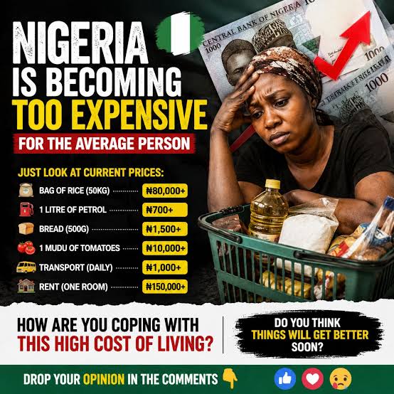 The Cost of Living in Nigeria: Challenges, Realities, and Practical Ways to Cope